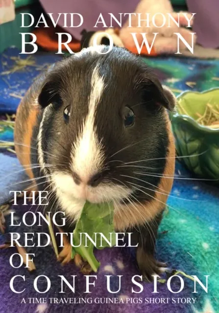 Long Red Tunnel of Confusion: A Time Traveling Guinea Pigs Short Story