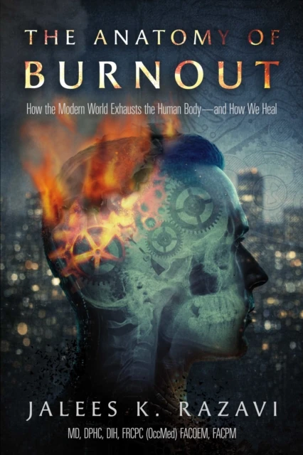Anatomy of Burnout