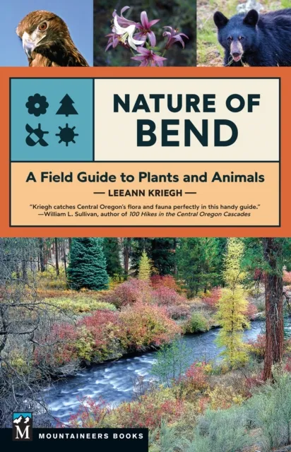 Nature of Bend