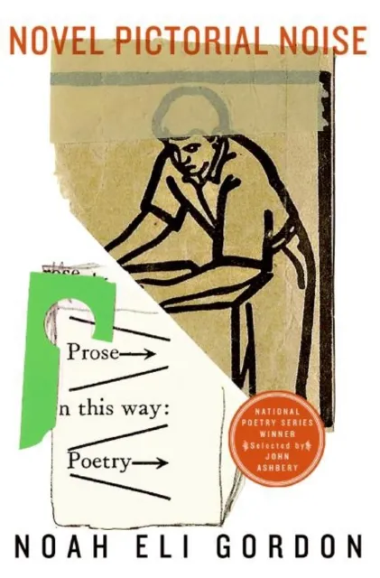 Novel Pictorial Noise