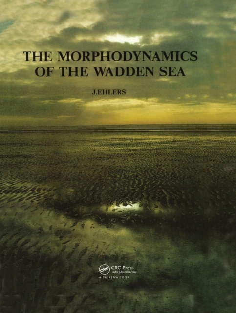 Morphodynamics of the Wadden Sea