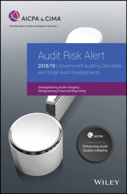 Audit Risk Alert