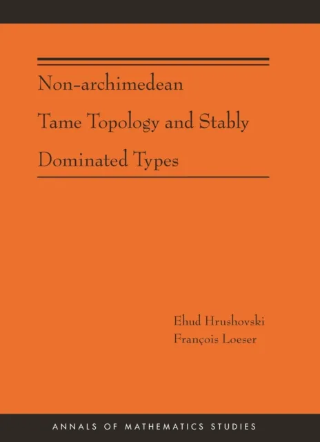 Non-Archimedean Tame Topology and Stably Dominated Types