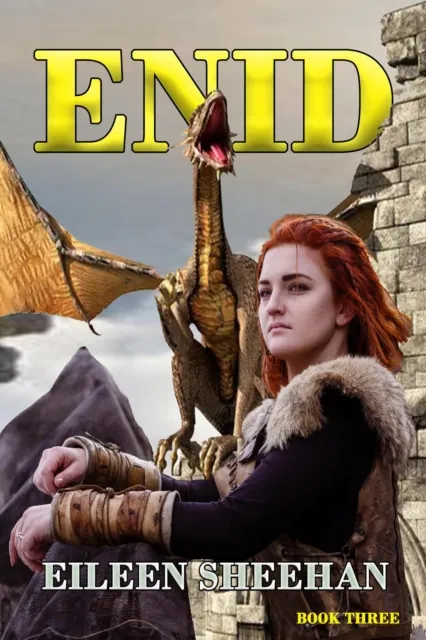 ENID (Book 3)