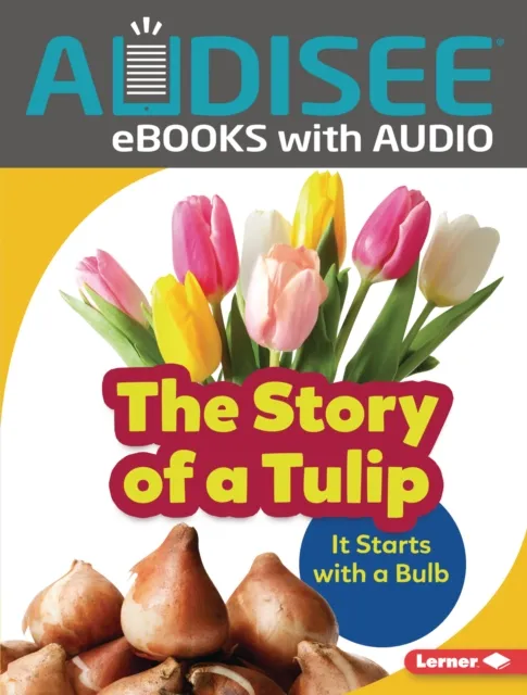 Story of a Tulip
