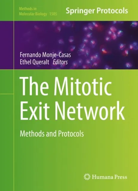 Mitotic Exit Network