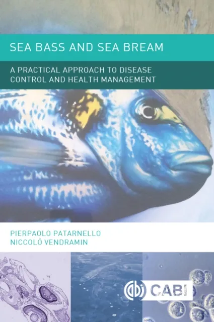 Sea Bass and Sea Bream