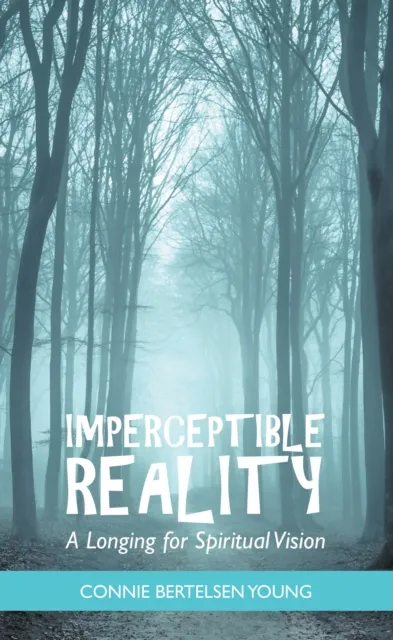Imperceptible Reality