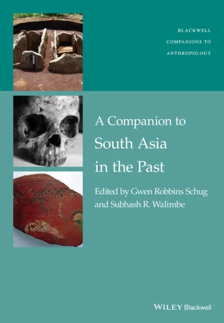 Companion to South Asia in the Past