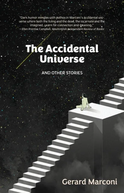 Accidental Universe and Other Stories
