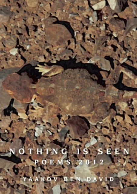 Nothing Is Seen