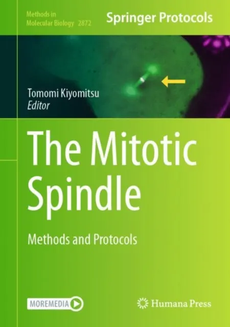 Mitotic Spindle