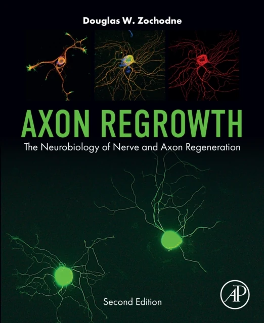 Axon Regrowth