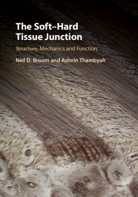 Soft-Hard Tissue Junction