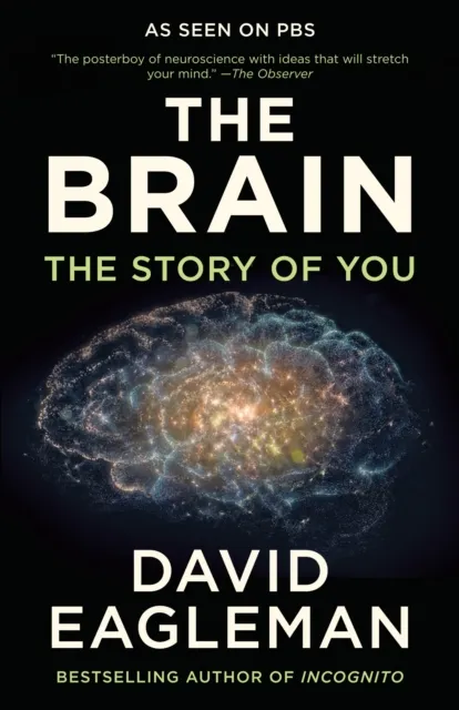 Brain