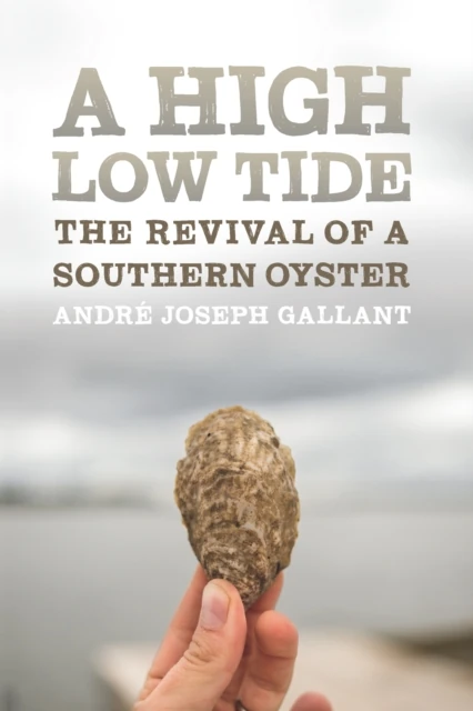 High Low Tide