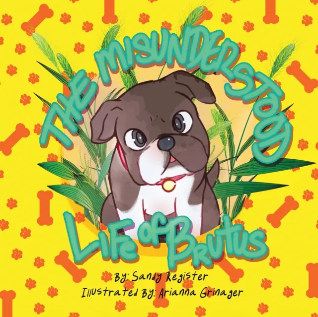 Misunderstood Life of Brutus