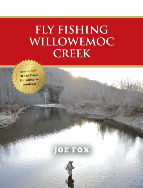 Fly Fishing Willowemoc Creek