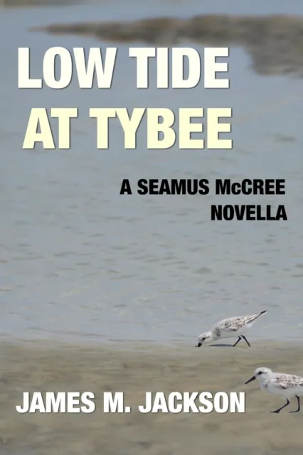 Low Tide at Tybee: A Seamus McCree Novella