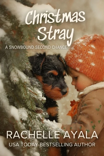 Christmas Stray: A Snowbound Second Chance