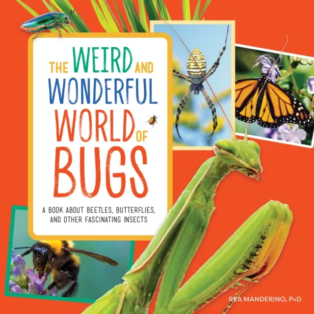 Weird and Wonderful World of Bugs