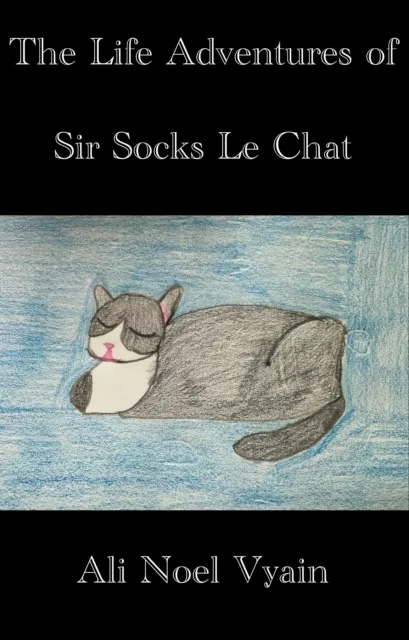 Life Adventures of Sir Socks Le Chat