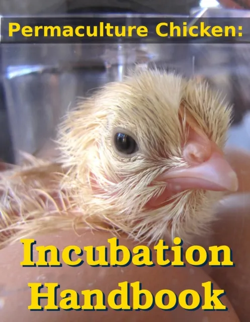 Incubating and Hatching Homegrown Chicks