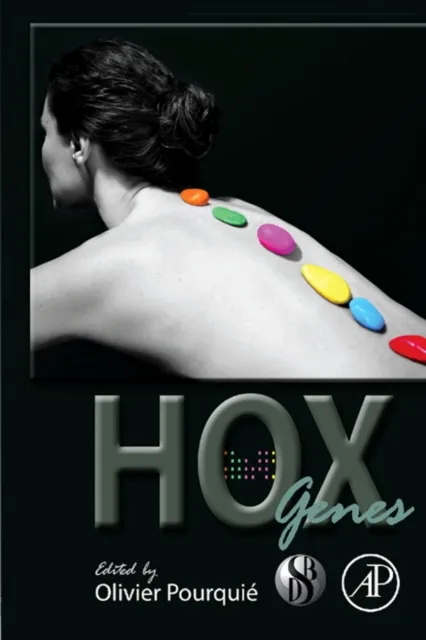 HOX Genes