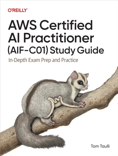AWS Certified AI Practitioner (AIF-C01) Study Guide