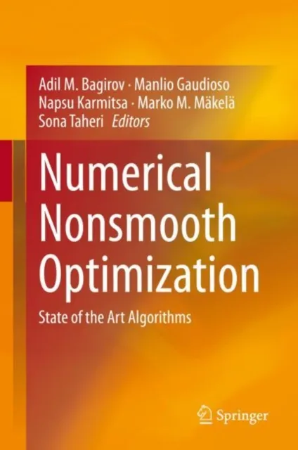 Numerical Nonsmooth Optimization