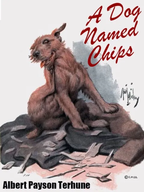 Dog Named Chips