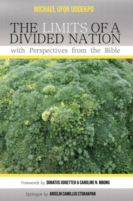 Limits of a Divided Nation with Perspectives from the Bible