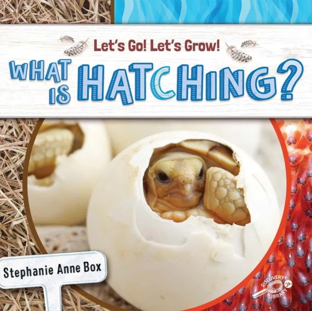 What Is Hatching?