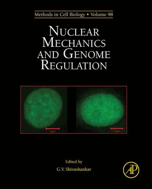 Nuclear Mechanics and Genome Regulation