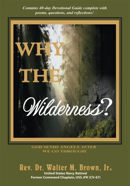 Why the Wilderness?