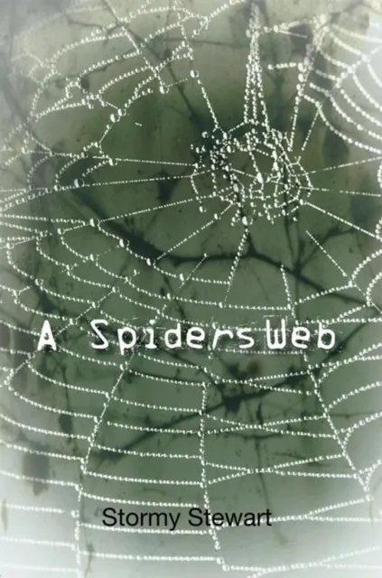 Spiders Web
