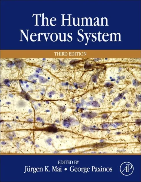 Human Nervous System