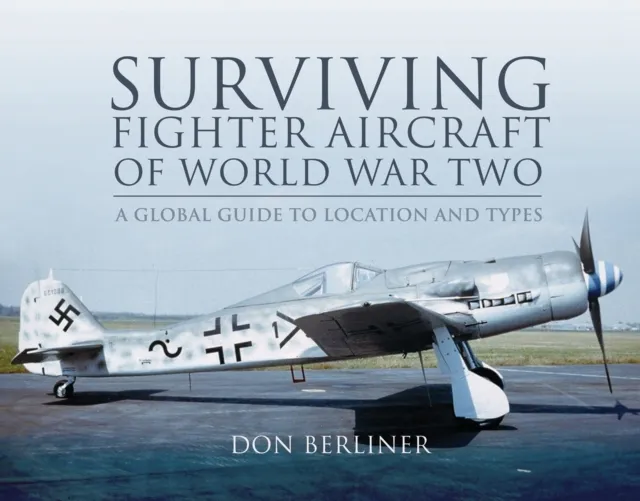 Surviving Fighter Aircraft of World War Two