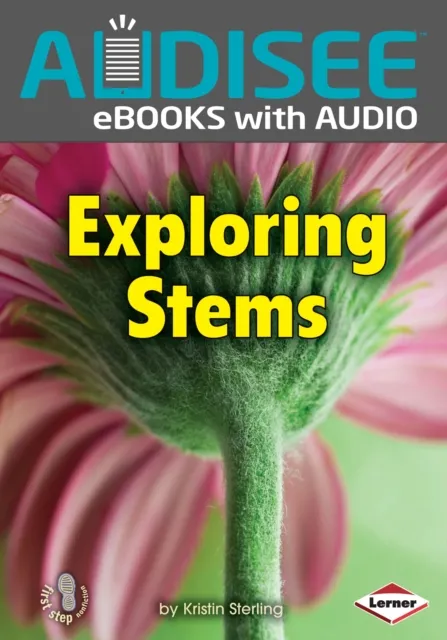 Exploring Stems