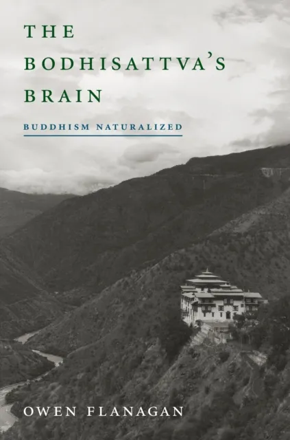 Bodhisattva's Brain