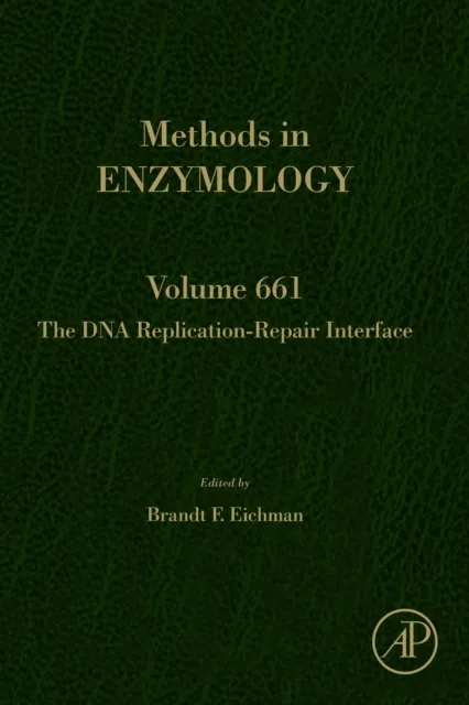 DNA Replication-Repair Interface