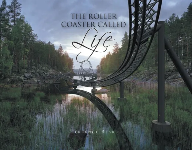 Roller Coaster Called Life