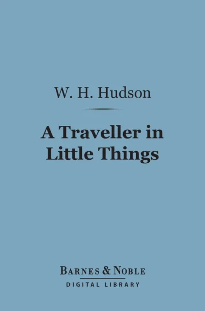 Traveller in Little Things (Barnes & Noble Digital Library)