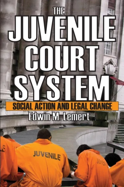 Juvenile Court System