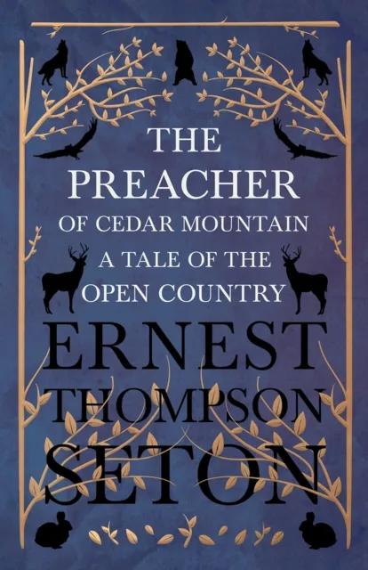 Preacher of Cedar Mountain: A Tale of the Open Country