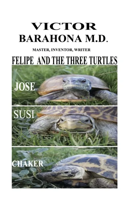 Felipe and the Three Turtles