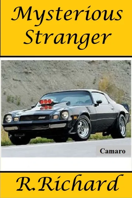 Mysterious Stranger