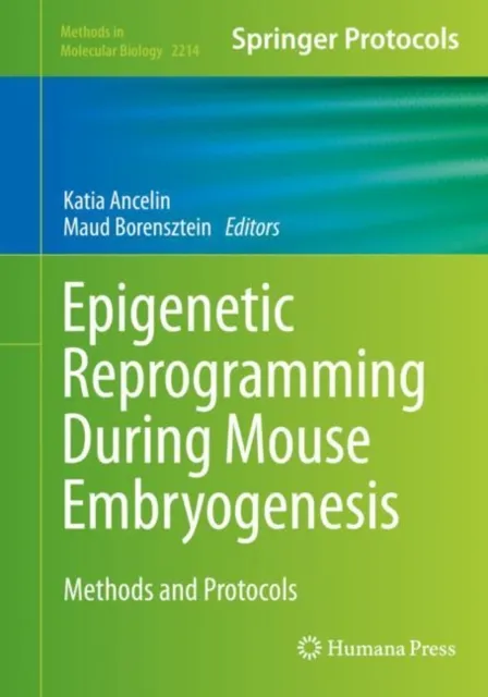 Epigenetic Reprogramming During Mouse Embryogenesis