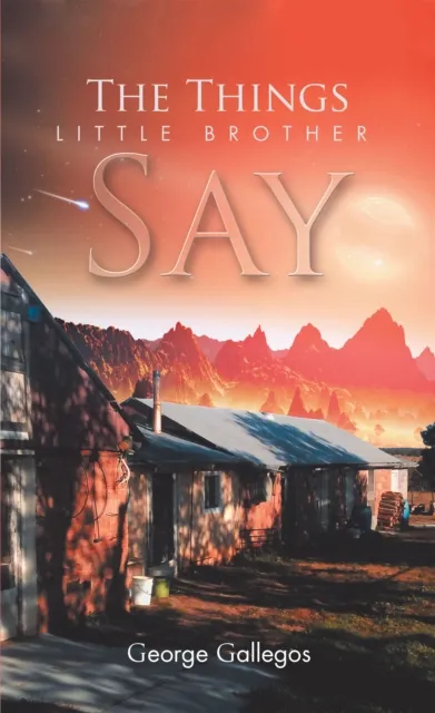 Things Little Brother Say