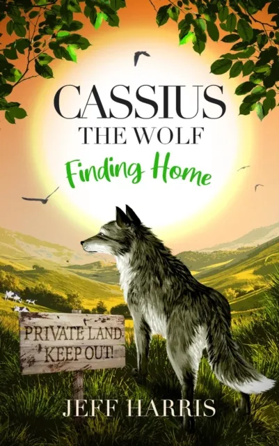 Cassius the Wolf: Finding Home